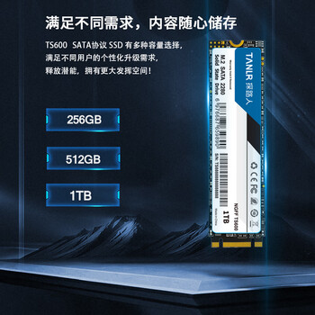 TANLR 探路人1TB SSD固态硬盘 M.2 SATA协议2280NGFF 台式笔记本通用固态硬盘 读速高达560MB/s 镭凌TS600