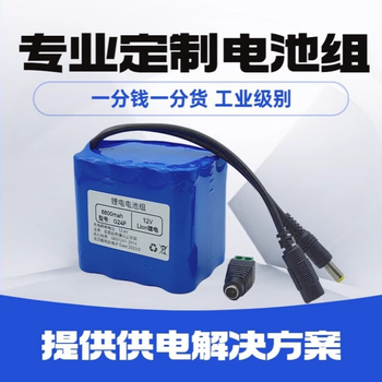 正鑫远 锂电池组大容量户外移动电源三元动力带保护板 12V2.2AH(18650)+1A充电器 正鑫远 锂电池组大容量户外移动电源三元动力带保护板 12V2.2AH(18650)+1A充电器