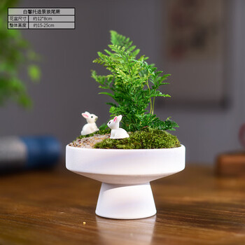 藍釉開片八方鉢 盆栽 多肉菖蒲盆栽 植木鉢 景德镇 装饰品 工艺品 置物 花盆陶瓷仿古青花瓷器景德镇小鱼缸泡菜坛客厅摆件复古款盆景花钵