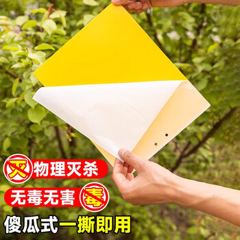 光多拉苍蝇贴灭蝇纸20张黄板诱虫板双面粘虫板果蝇诱捕器苍蝇神器灭蝇器