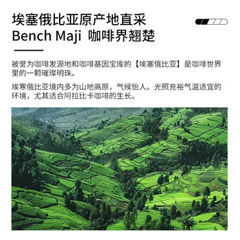 LUJIAZUI鹿家嘴埃塞俄比亚瑰夏意式精品美式咖啡豆阿拉比卡中深烘焙250g