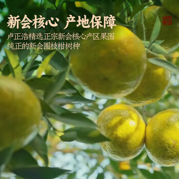 卢正浩新会陈皮3年圈枝大红皮200g自然生晒茶叶礼盒长辈团购送礼品