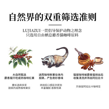 鹿家嘴LUJIAZUI印尼正宗野鼬猫屎咖啡豆麝香猫手冲精品豆100g