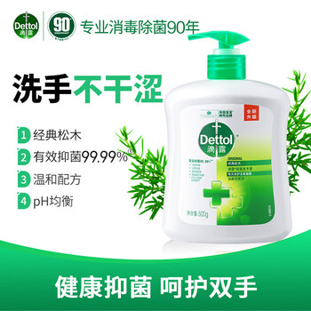 滴露洗手液【热销TOP】抑菌洗手液经典松木500克清洁不伤手×2瓶