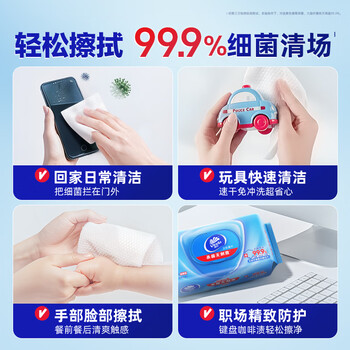 维达（Vinda）杀菌湿巾 80片*12包 杀菌率99.9%加厚升级湿巾大包卫生湿巾湿纸巾
