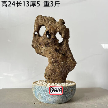 太湖石盆景价格报价行情- 京东