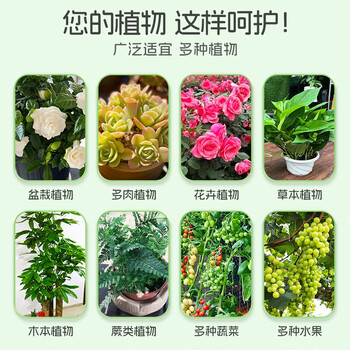 KOOGIS呋虫胺花卉草绿植物专用杀虫剂喷雾红蜘蛛除蚜虫家用防基孔肯雅热