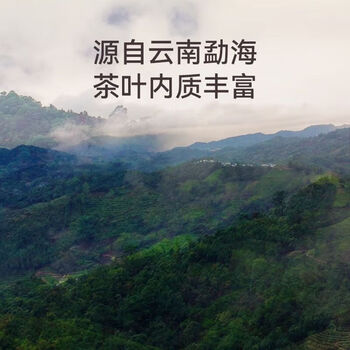 顶茶师普洱茶熟茶36g熟普散茶小罐口粮茶叶自己喝云南勐海古树茶铁盒