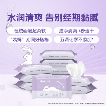 舒洁（Kleenex）湿厕纸24抽*10包湿厕纸小包洁厕湿纸巾湿厕纸女性专用湿巾厕纸