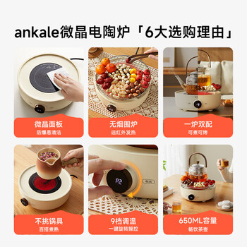 ankale围炉煮茶套装 全套户外电陶炉电茶炉烧水煮茶炉煮茶壶养生壶【全玻璃养生壶+烤网围炉】AJL-DT01