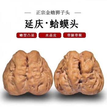 年末セール中！ 48蛤蟆头 クルミ文玩核桃 48蛤蟆头 クルミ文玩核桃 48蛤蟆头 クルミ文玩核桃 【公式通販】