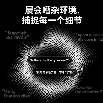 科大讯飞（iFLYTEK）双屏翻译机2.0 多语种离线翻译器 同声字幕翻译 行业翻译 出国随身旅游口语实时翻译