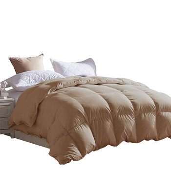 波司登羽绒被被芯95白鹅绒春秋被保暖加厚冬被芯鸭绒儿童宿舍单人双人