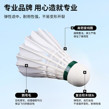 薰风（KUMPOO）日常娱乐训练用球熏风鹅毛羽毛球  红薰66一筒12个装(77速)
