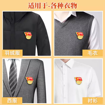 欧唛（oumai）标准党徽 锌合金镀金 双磁扣 磁吸佩戴 党建用品 2枚装 党员活动必备 党员徽章
