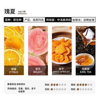 鹿家嘴埃塞精品挂耳花魁瑰夏耶加雪菲西达摩混合装10g*20片