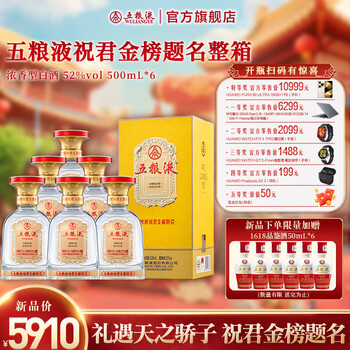 メール便不可】 中国酒 五粮液 五糧液 新品未開封 2本セット