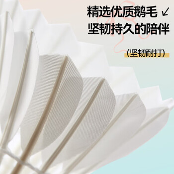 川崎（KAWASAKI）羽毛球稳定耐打比赛训练专用鹅毛球在逃公主6号12只装