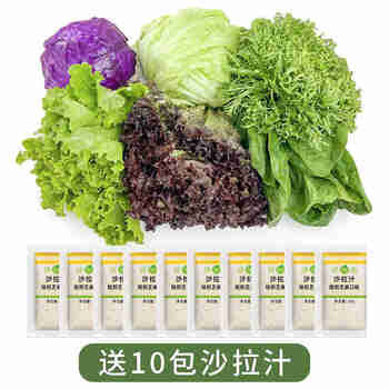 绿食者 新鲜蔬菜沙拉组合4斤 西餐色拉沙拉生菜轻食健身食材配菜 4斤【有沙拉酱】