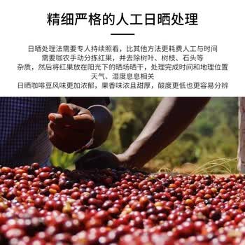 LUJIAZUI鹿家嘴埃塞花魁G1精品意式咖啡豆阿拉比卡手冲美式中深烘焙250g