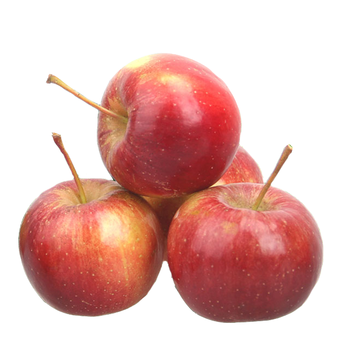 东北沙果海棠果 酸甜小苹果新鲜水果 2.5kg