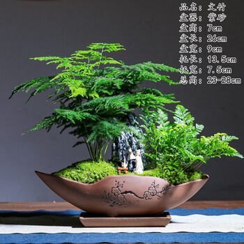 韵景植物盆景- 京东