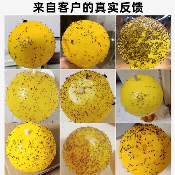 COODORA果蝇小飞虫诱捕器室内外家用粘虫球灭虫神器5个球+底座+双面胶