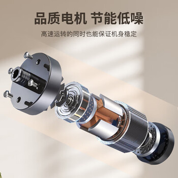 志高（Chigo）10公斤大容量波轮全自动洗衣机蓝光洗护毛毯洗 家用租房宿舍洗衣机洗脱一体定制程序 XQB100-118