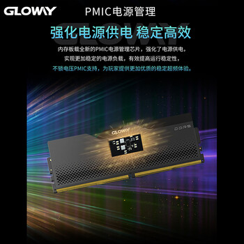 光威（Gloway）32GB(16GBX2) DDR5 6000 台式机内存条 龙武 马甲条 镁光颗粒 CL38 星空黑