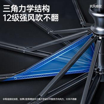 费林斯曼全自动雨伞男士超大号加固加厚抗风遮太阳伞晴雨两用便携防晒伞女