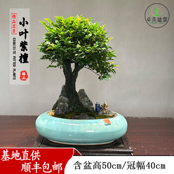拍子木　紫檀　８寸　(24cm) sy02104473726.png