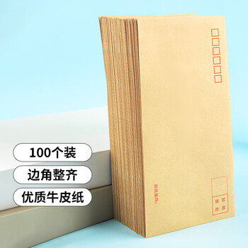 广博（GuangBo）100只装5号DL牛皮纸信封80g/110*220mm邮局标准信封袋发票收据文件袋工资袋信纸寄信信封 EN-3