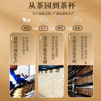 盛安长泾阳茯茶传承1368黑茶金花茯砖茶叶陕西特产  2021年糯香味200g
