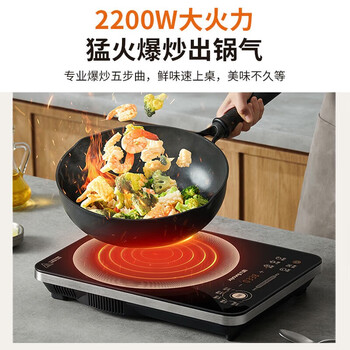 九阳（Joyoung）大火力电磁炉爆炒多功能10档家用2200W大功率商超同款C22S-N9L