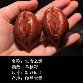生命之源核雕价格报价行情- 京东