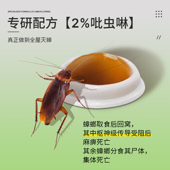 巨奇猫山王蟑螂药杀蟑饵剂全窝端家用非无毒屋贴胶饵驱灭蟑神器8枚/盒
