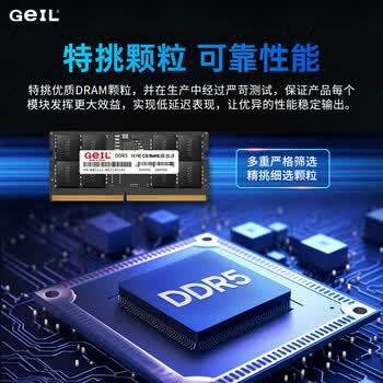 GEIL金邦 16G DDR5-5200  笔记本内存条 千禧系列