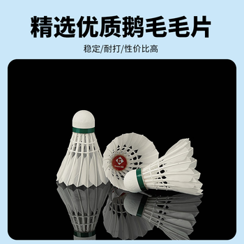 薰风（KUMPOO）日常娱乐训练用球熏风鹅毛羽毛球  红薰66一筒12个装(77速)