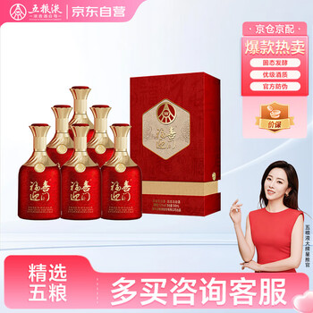 【12月スーパーSALE 15%OFF】 五粮液（红瓶）价格报价行情- 京东 その他