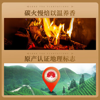 七春雪片鸭屎香单枞茶特级潮州乌岽凤凰单丛 茶叶礼盒礼品250g自己喝