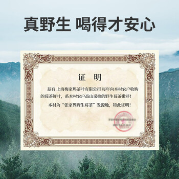 贡苑【野生芽尖莓茶】特嫩级张家界霉茶90g 硒黄酮茅岩永高山龙须顺藤