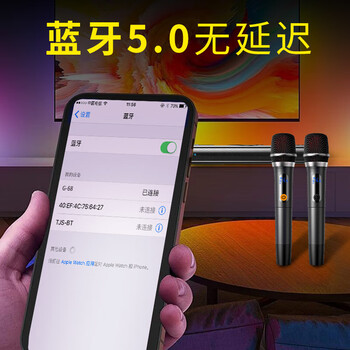 纽曼（Newmine）G68 家庭影院 回音壁 蓝牙音箱 家庭KTV音响 无线蓝牙客厅K歌音响 电视音响 麦克风