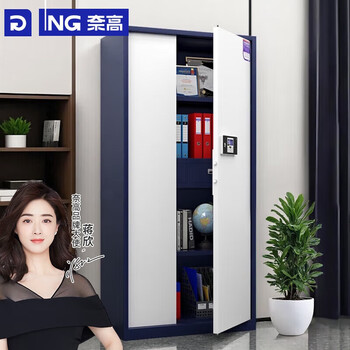 奈高（NAIGAO）保密柜文件柜国密级办公铁皮柜国家保密认证电子密码锁密码柜