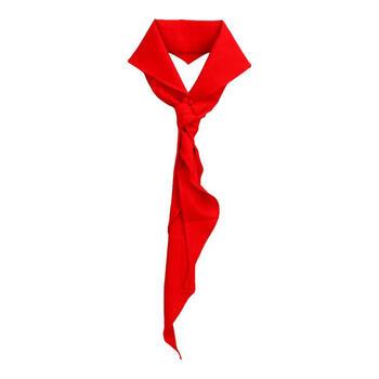 晨光（M&G）【1条丨涤纶丨1米】红领巾小学生通用透气不掉色标准1-3年级儿童专用涤纶标准正品ASCN9524