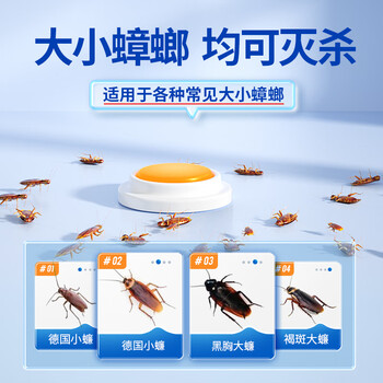 绿叶蟑螂药杀蟑胶饵方便贴杀虫剂灭蟑螂16枚装-07111ZZ 绿叶蟑螂药杀蟑胶饵方便贴杀虫剂灭蟑螂16枚装-07111ZZ