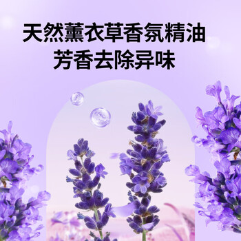 蔬果园大师调香贝蒂蓝薰衣草香氛内衣洗衣液500g*2瓶