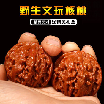 高級】文玩核桃 白獅子 3ムキ 43mm 初期加工済み 三角核桃品牌及