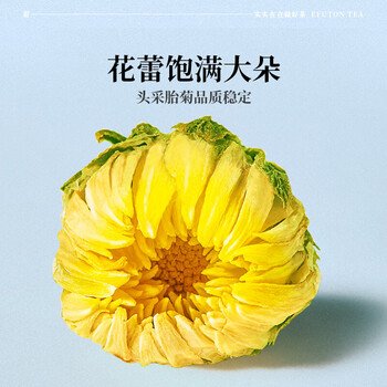 艺福堂 菊博士胎菊 花草茶 菊花下火 清热养生干80g/罐