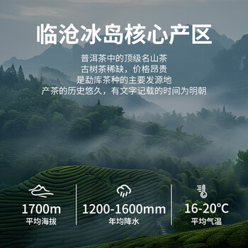 勐伦仓【冰岛七年陈】普洱茶生茶百年古树龙珠茶叶礼盒56g