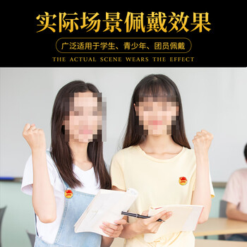 格立特（gelite）2025最新版标准款1.5mm加厚正版2cm中国共青团团徽磁吸团员徽章别针款双面强磁大磁铁扣学生用胸章